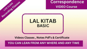 Lal Kitab Basic